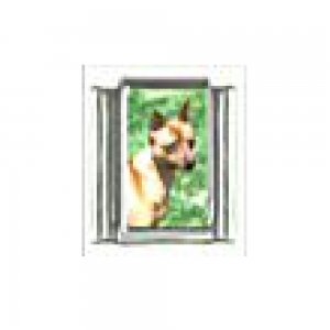 Dog charm - Miniature Pinscher 2 - 9mm Italian charm