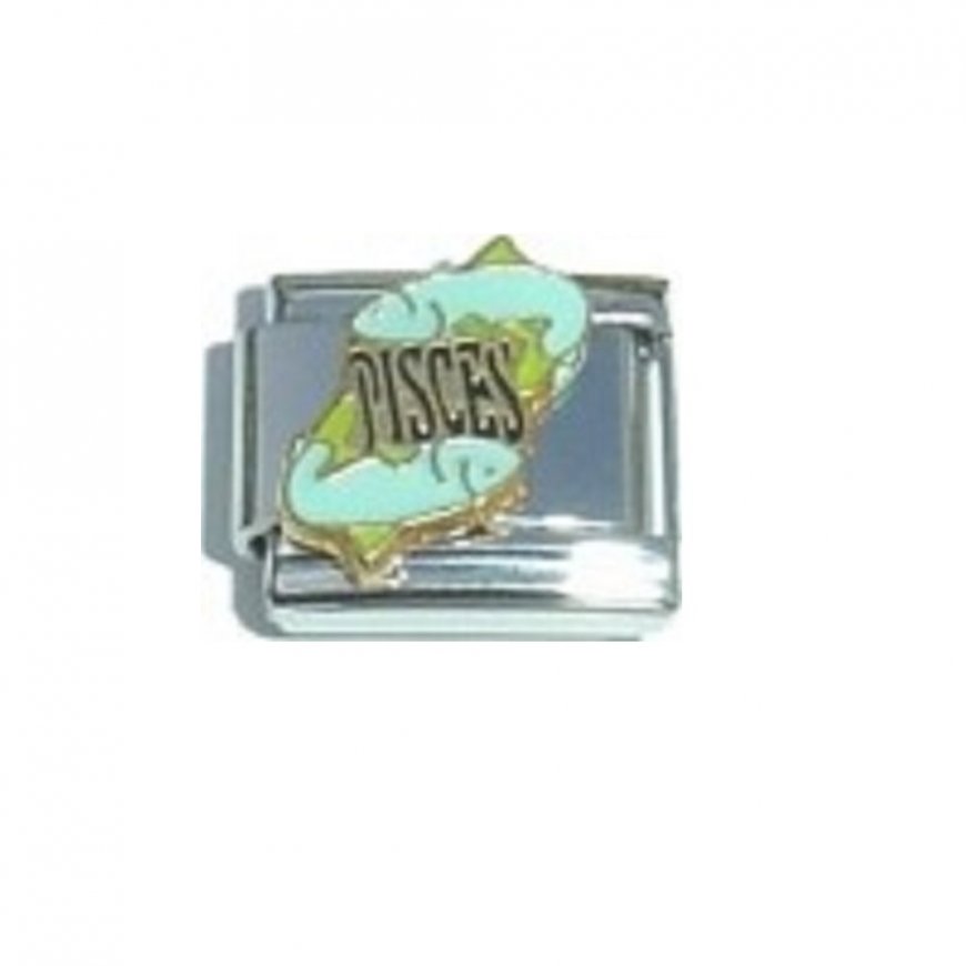 Pisces Word enamel charm (20/2-20/3) 9mm Italian charm - Click Image to Close