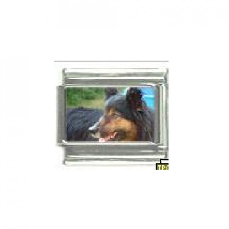 Dog charm - Border Collie 2 - 9mm Italian charm - Click Image to Close