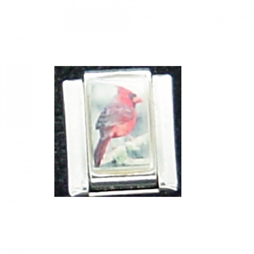 Cardinal bird (a) - photo 9mm Italian charm - Click Image to Close