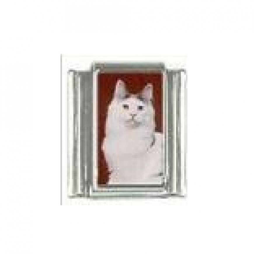 Cat - White cat (a) photo 9mm Italian charm - Click Image to Close
