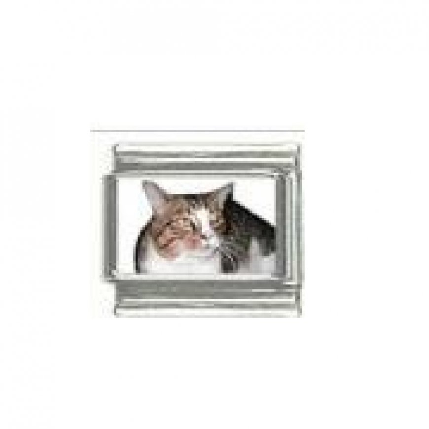 Cat - tabby cat (h) photo 9mm Italian charm - Click Image to Close