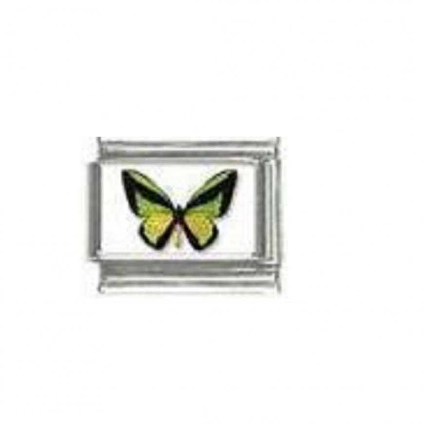 Butterfly photo a108 - 9mm Italian charm - Click Image to Close