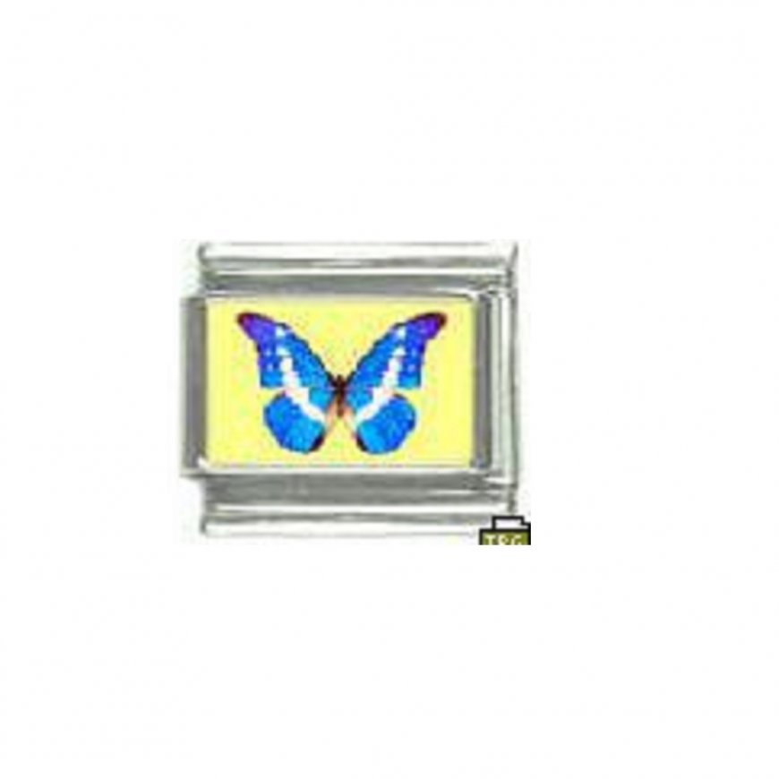 Butterfly photo a49 - 9mm Italian charm - Click Image to Close