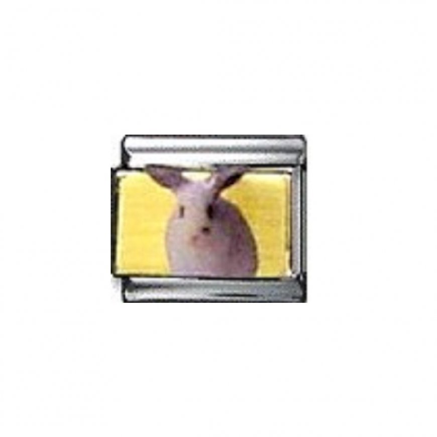 White rabbit on gold background - enamel 9mm Italian charm - Click Image to Close