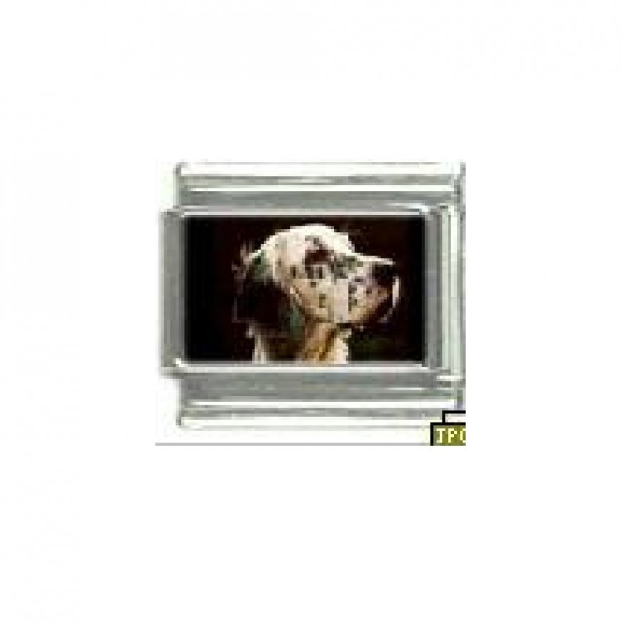 Dog charm - English Setter 2 - 9mm Italian charm - Click Image to Close