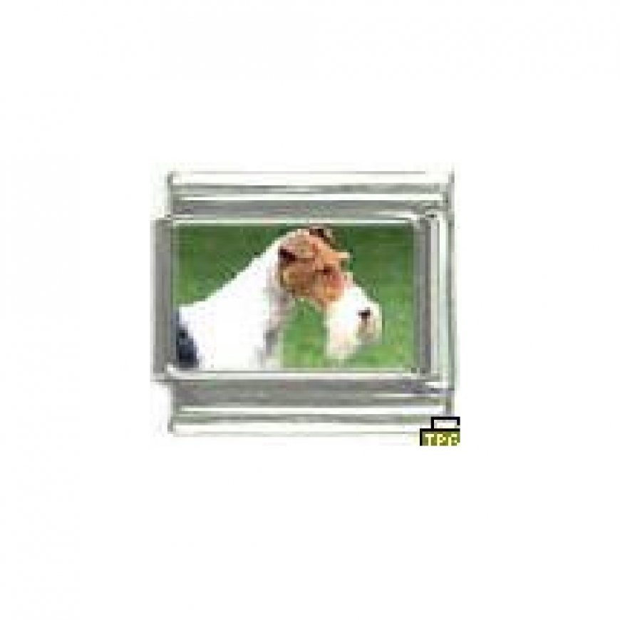 Dog charm - Fox Terrier 1 - 9mm Italian charm - Click Image to Close