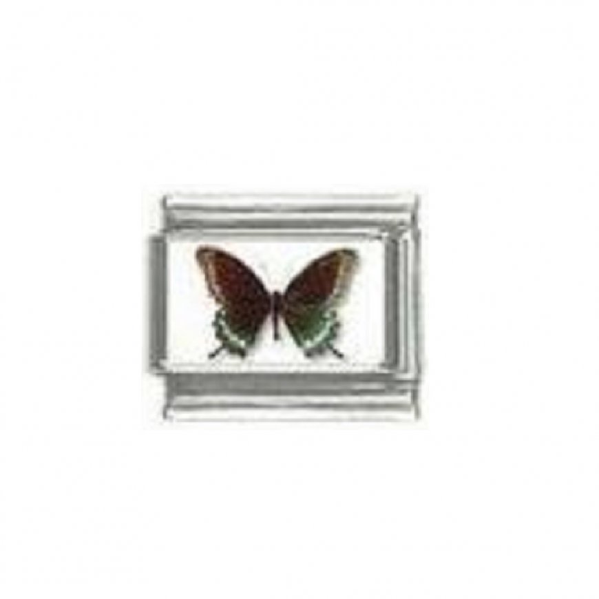Butterfly photo a15 - 9mm Italian charm - Click Image to Close