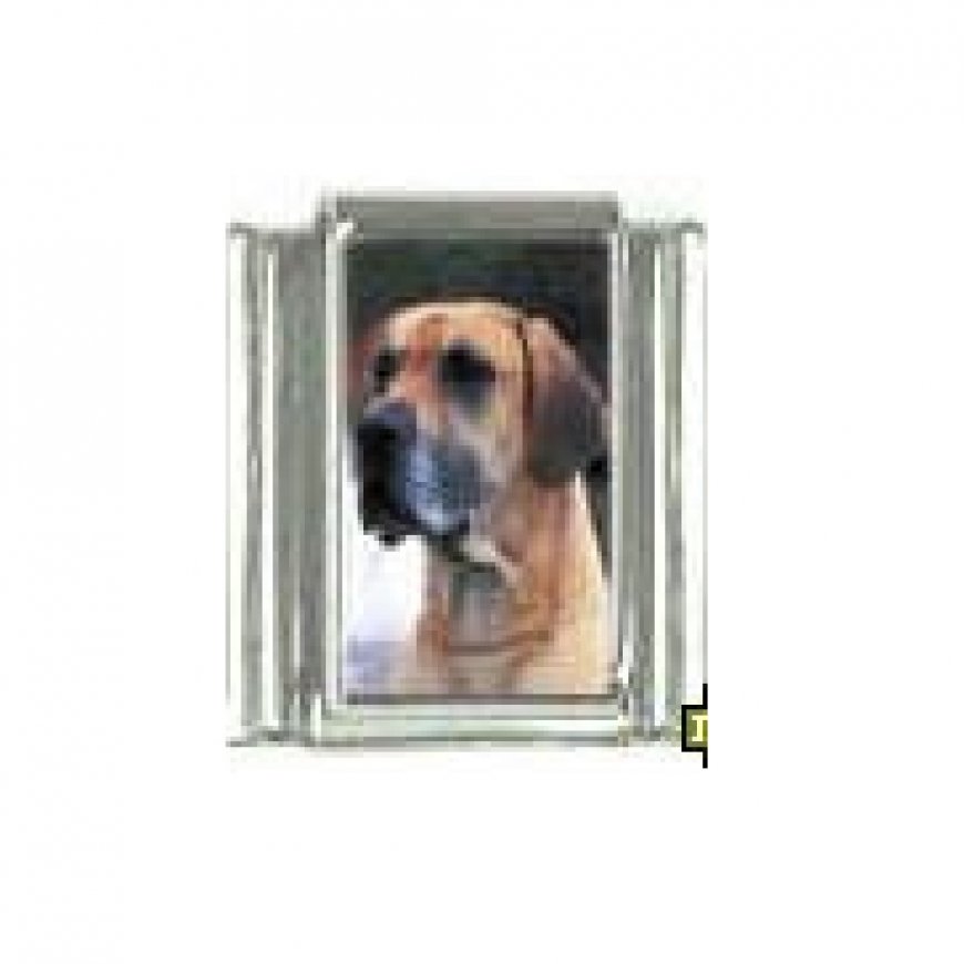 Dog charm - Great Dane 3 - 9mm Italian charm - Click Image to Close
