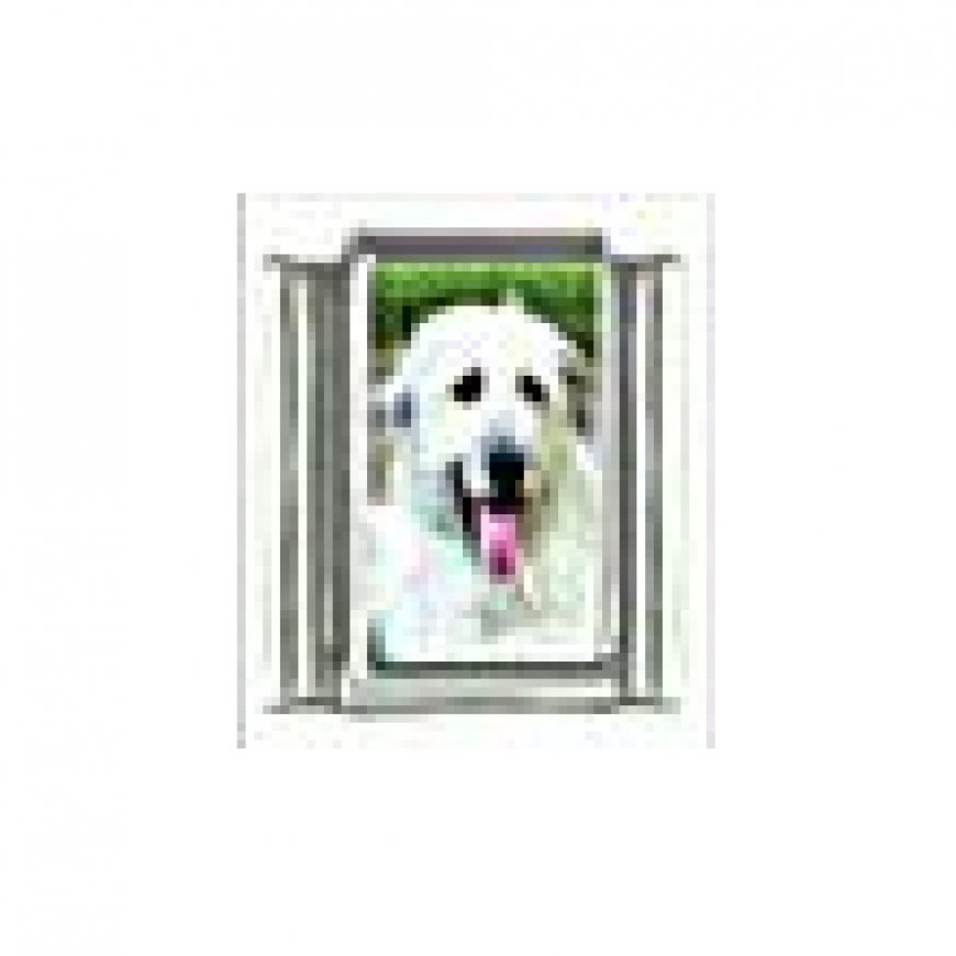 Dog charm - Irish Wolfhound 4 - 9mm Italian charm - Click Image to Close