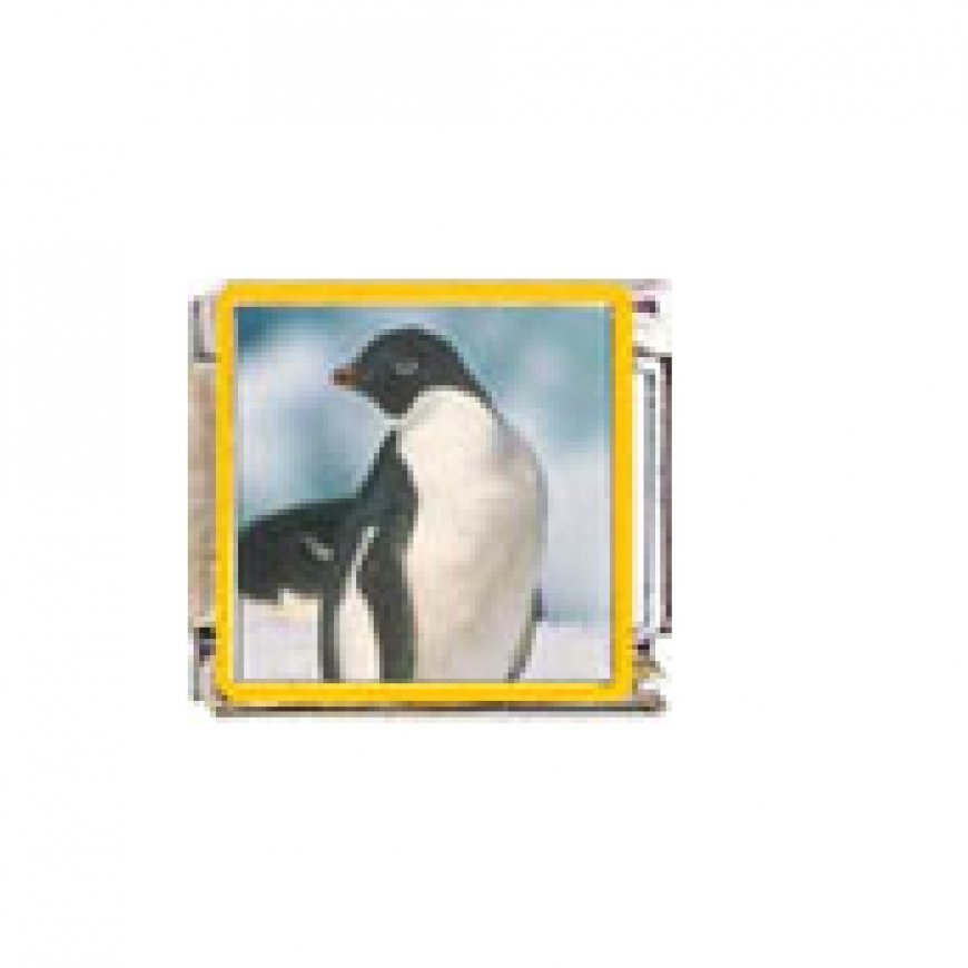 Penguin (ap) - enamel 9mm Italian charm - Click Image to Close