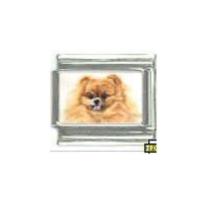 Dog charm - Pomeranian 1 - 9mm Italian charm - Click Image to Close