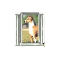 Dog charm - Italian Greyhound 4 - 9mm Italian charm