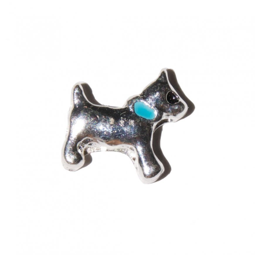 Dog with blue collar 7mm floating charm fits memory lockets - Click Image to Close