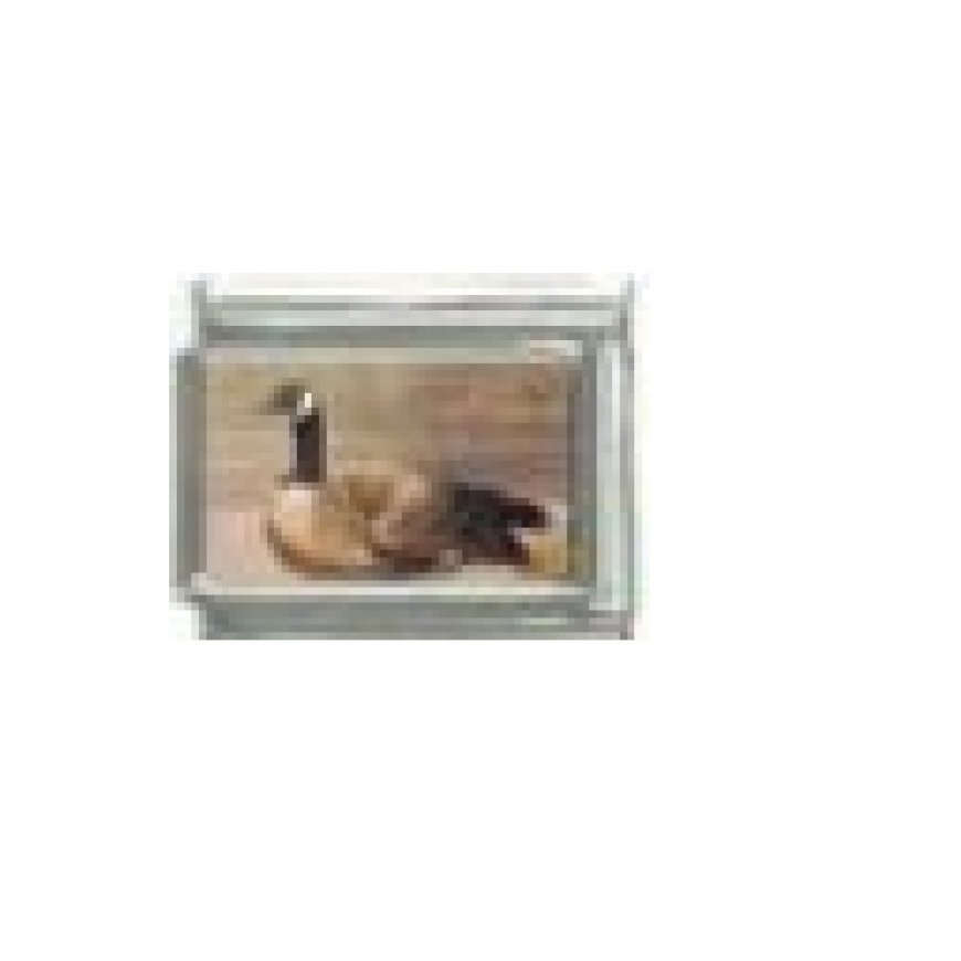 Canadian goose - photo 9mm Italian charm - Click Image to Close