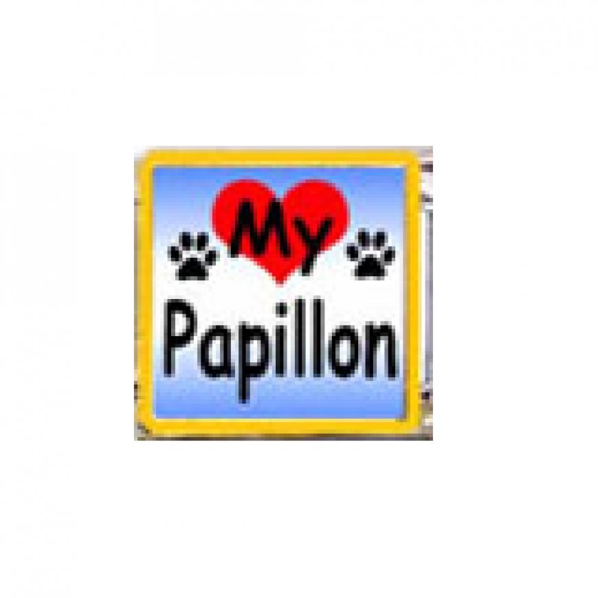 Love my Papillon - dog - enamel 9mm Italian charm - Click Image to Close