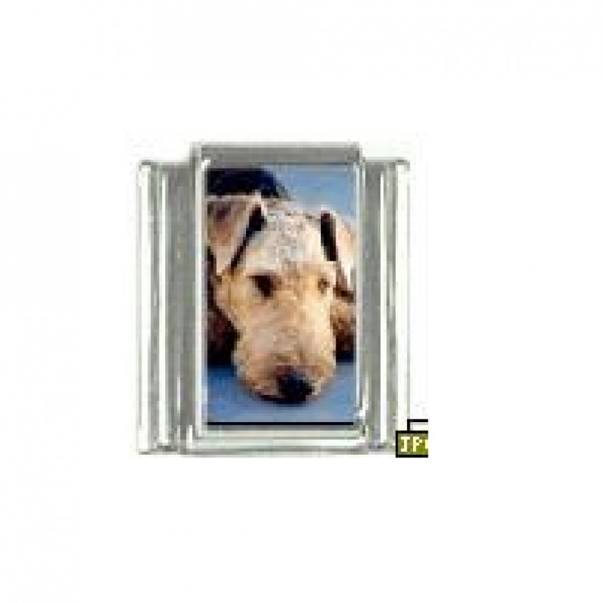 Dog charm - Airedale Terrier 1 - 9mm Italian charm - Click Image to Close