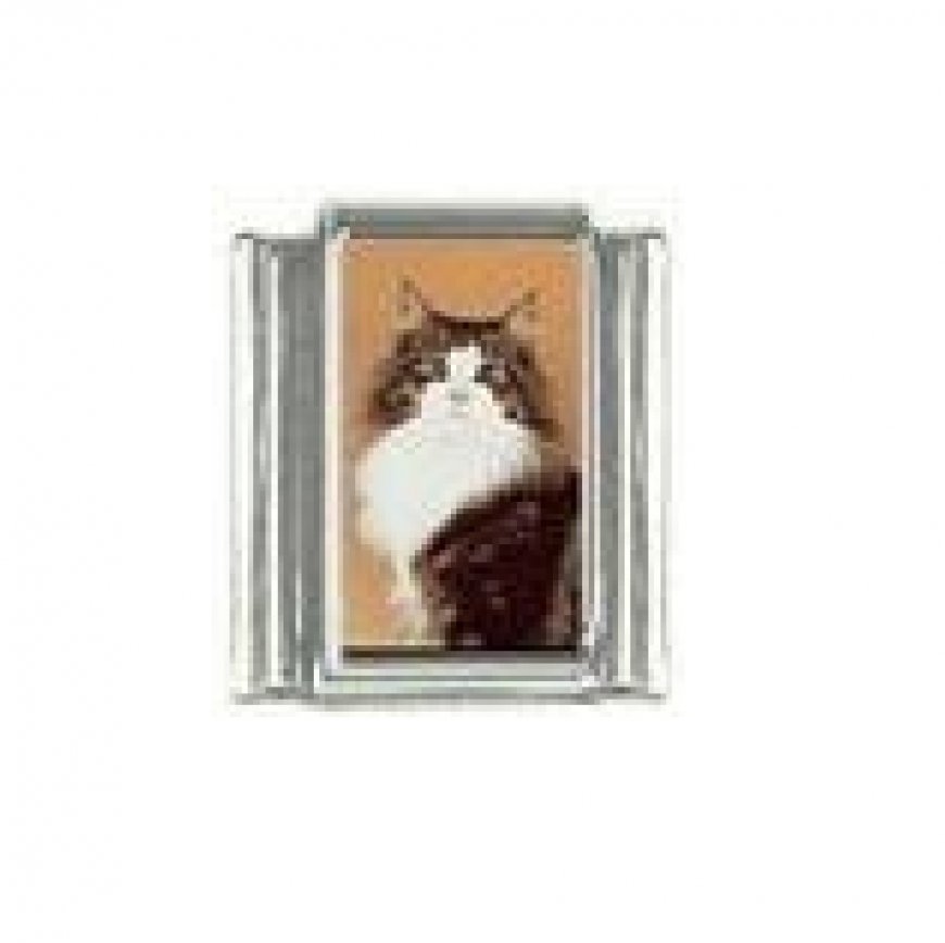 Cat - Brown and white tabby cat 9mm photo Italian charm - Click Image to Close
