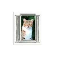 Cat - Ginger tabby cat (b) photo 9mm Italian charm