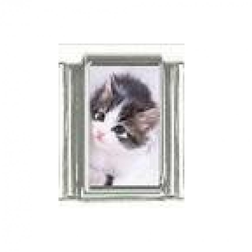 Cat - black and white kitten 9mm photo Italian charm - Click Image to Close