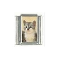 Cat - Grey and white kitten 9mm photo Italian charm