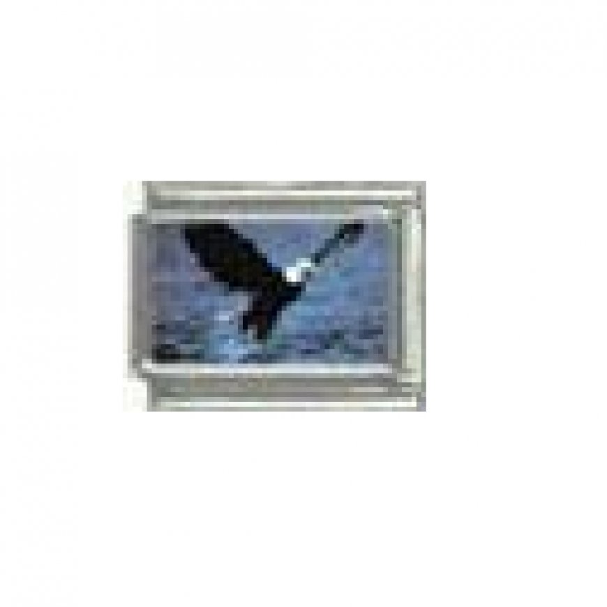 Eagle flying - photo 9mm Italian charm - Click Image to Close