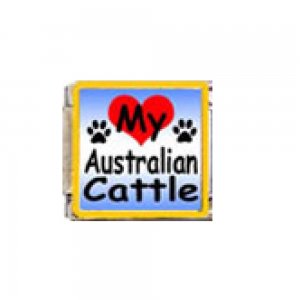 Love my Australian Cattle - dog - 9mm enamel Italian charm