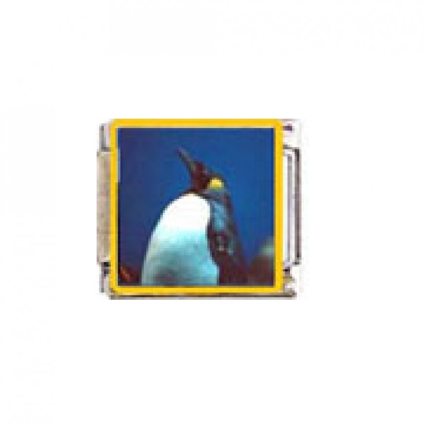 Penguin (p) - enamel 9mm Italian charm - Click Image to Close