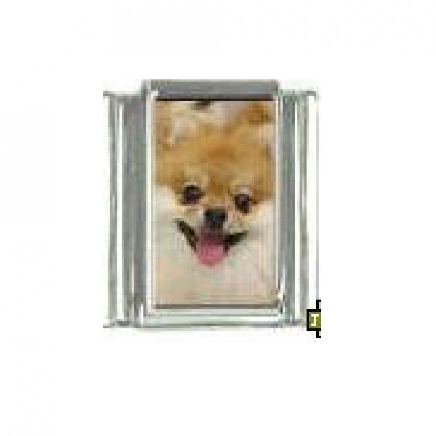 Dog charm - Pomeranian 3 - 9mm Italian charm - Click Image to Close