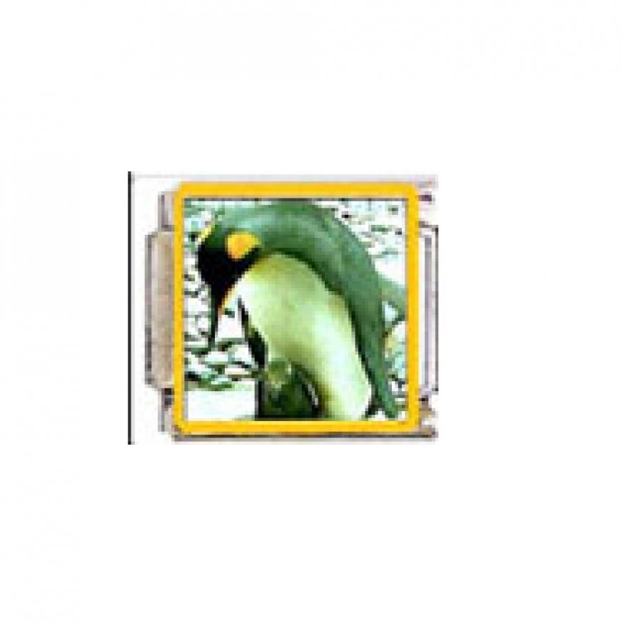 Penguin (t) - enamel 9mm Italian charm - Click Image to Close