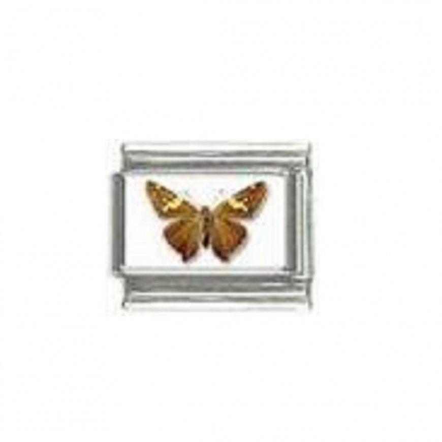 Butterfly photo a114 - 9mm Italian charm - Click Image to Close