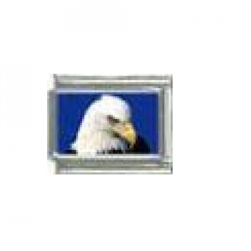 Eagle - photo 9mm Italian charm - Click Image to Close
