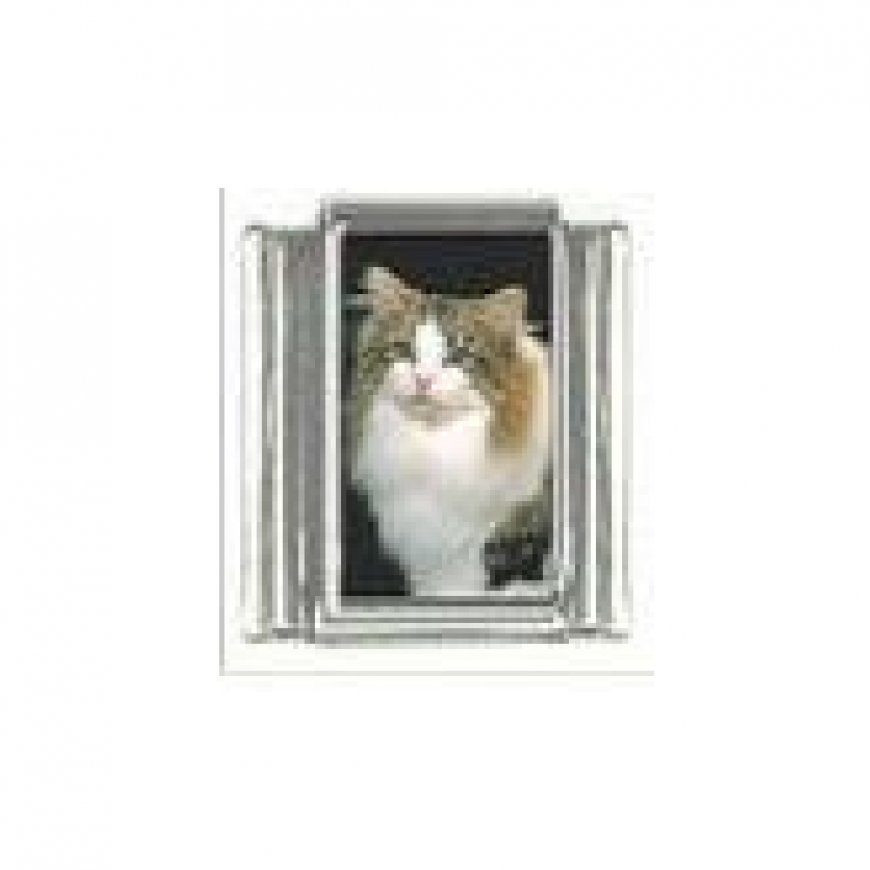 Cat - Tabby and white cat (a) photo 9mm Italian charm - Click Image to Close