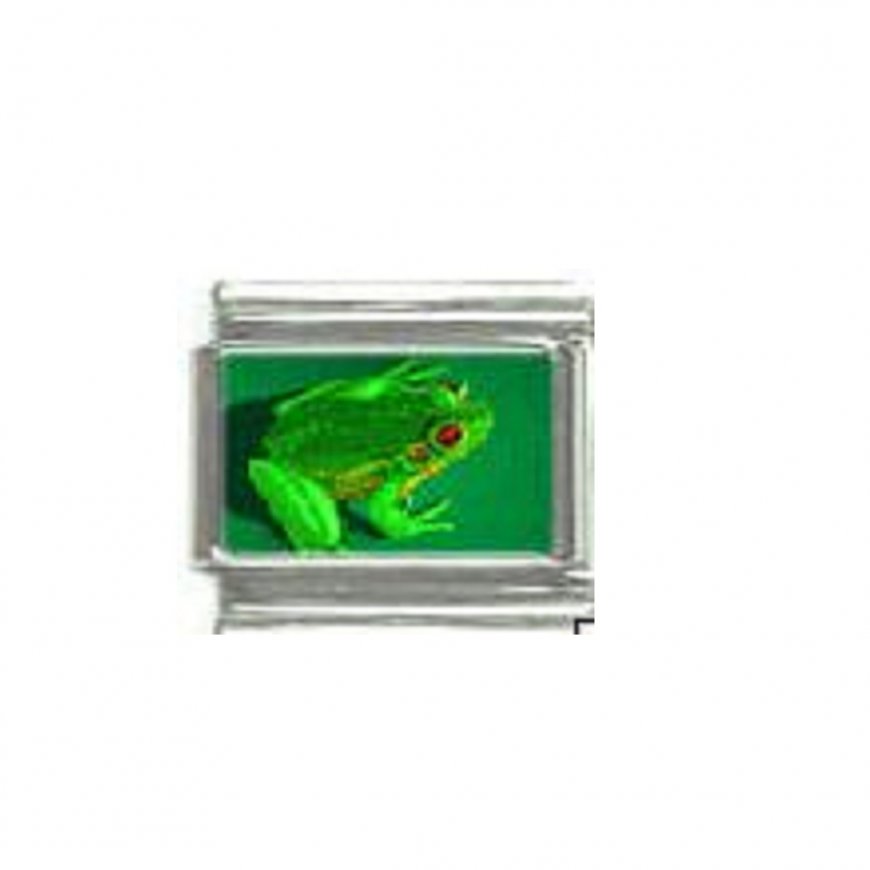 Frog (e) - photo 9mm Italian charm - Click Image to Close