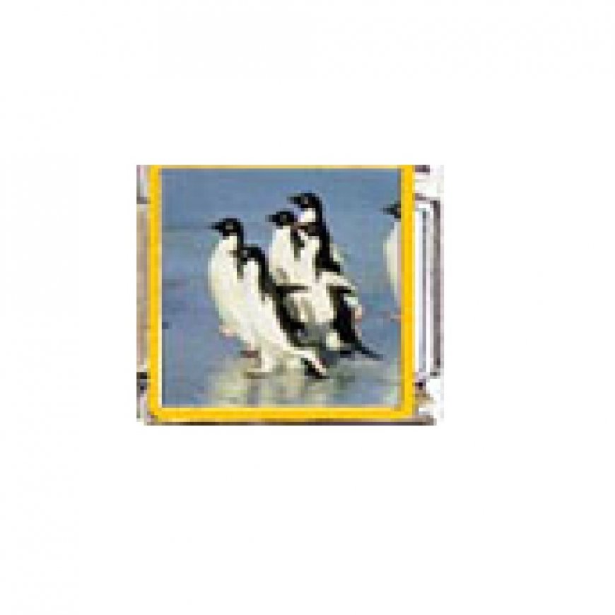 Penguin (ag) - enamel 9mm Italian charm - Click Image to Close