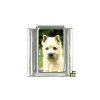 Dog charm - Cairn Terrier 2 - 9mm Italian charm
