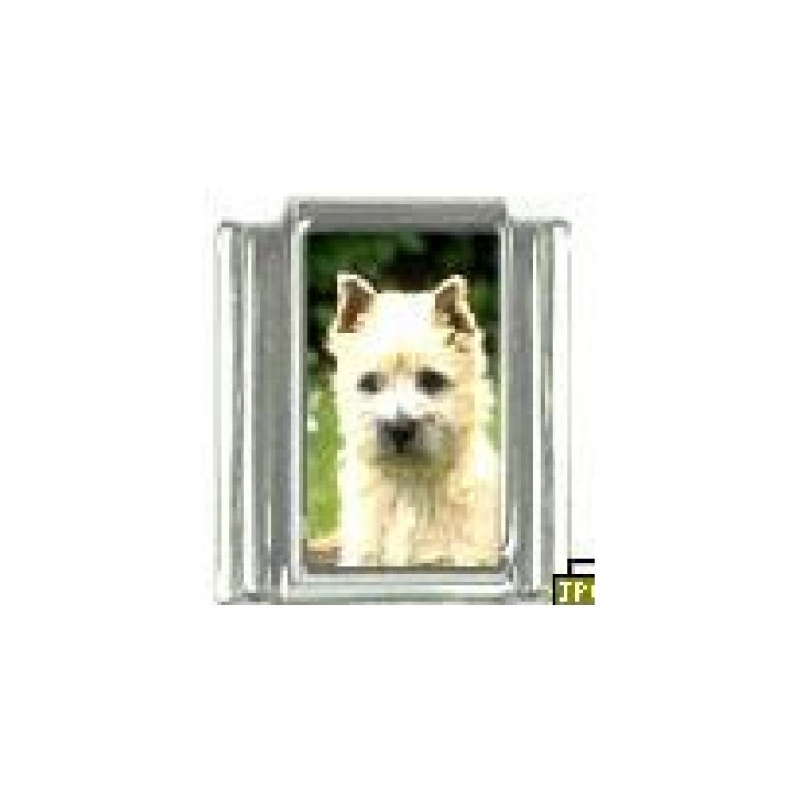 Dog charm - Cairn Terrier 2 - 9mm Italian charm - Click Image to Close
