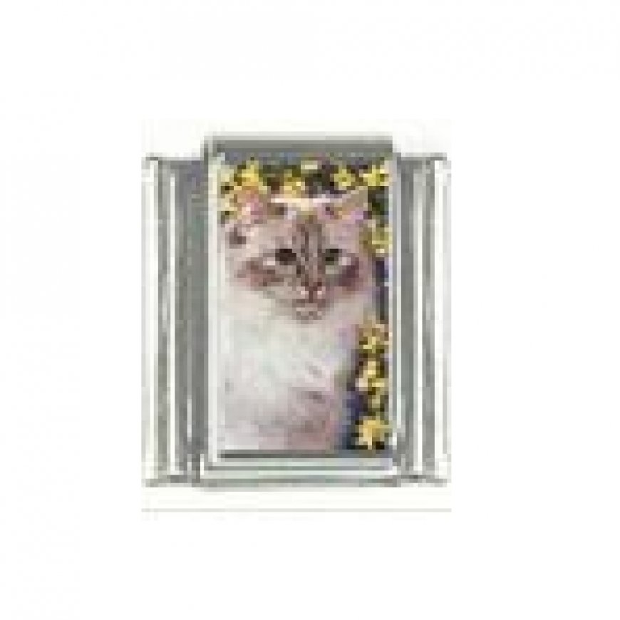Cat - Persian cat (e) 9mm enamel Italian charm - Click Image to Close