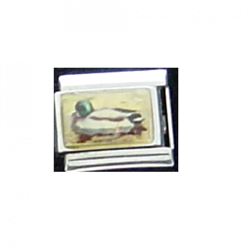 Mallard duck - photo 9mm Italian Charm - Click Image to Close
