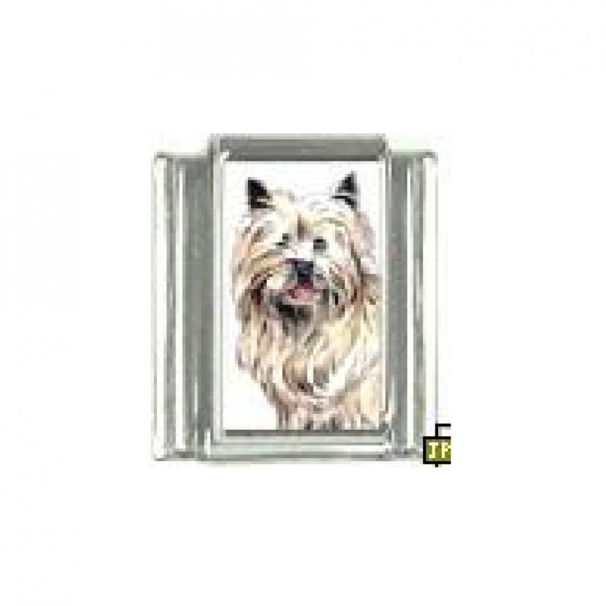 Dog charm - Cairn Terrier 3 - 9mm Italian charm - Click Image to Close