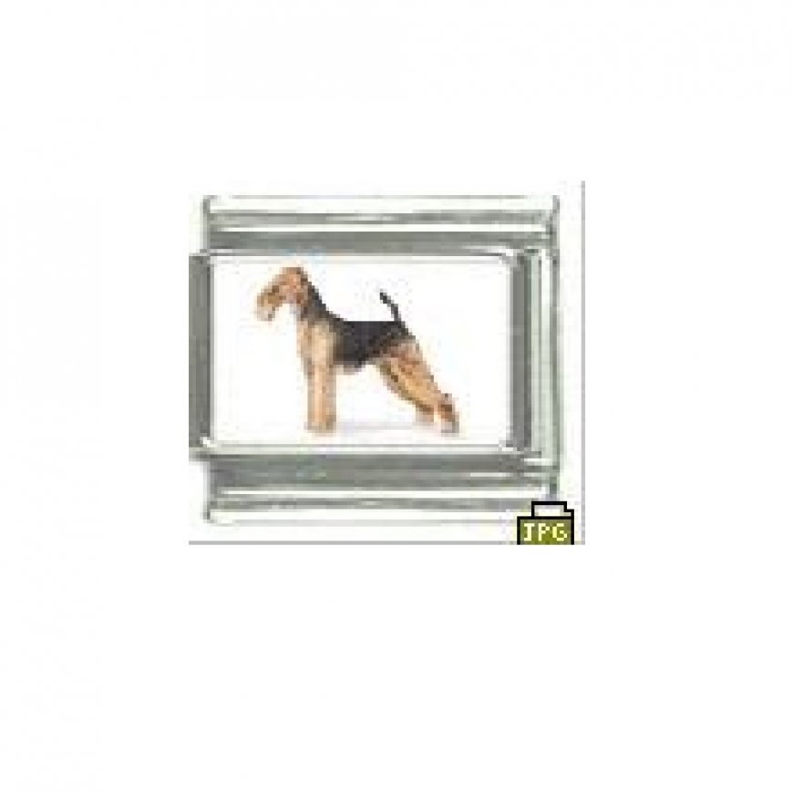 Dog charm - Airedale Terrier 2 - 9mm Italian charm - Click Image to Close