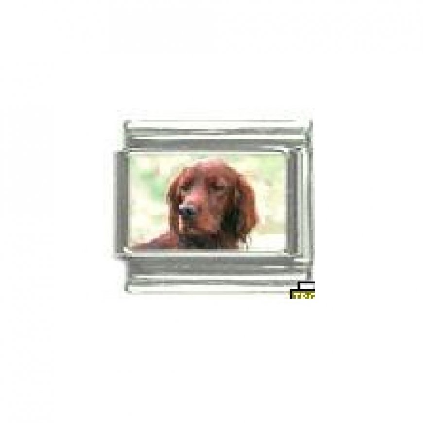 Dog charm - Irish Setter 3 - 9mm Italian charm - Click Image to Close