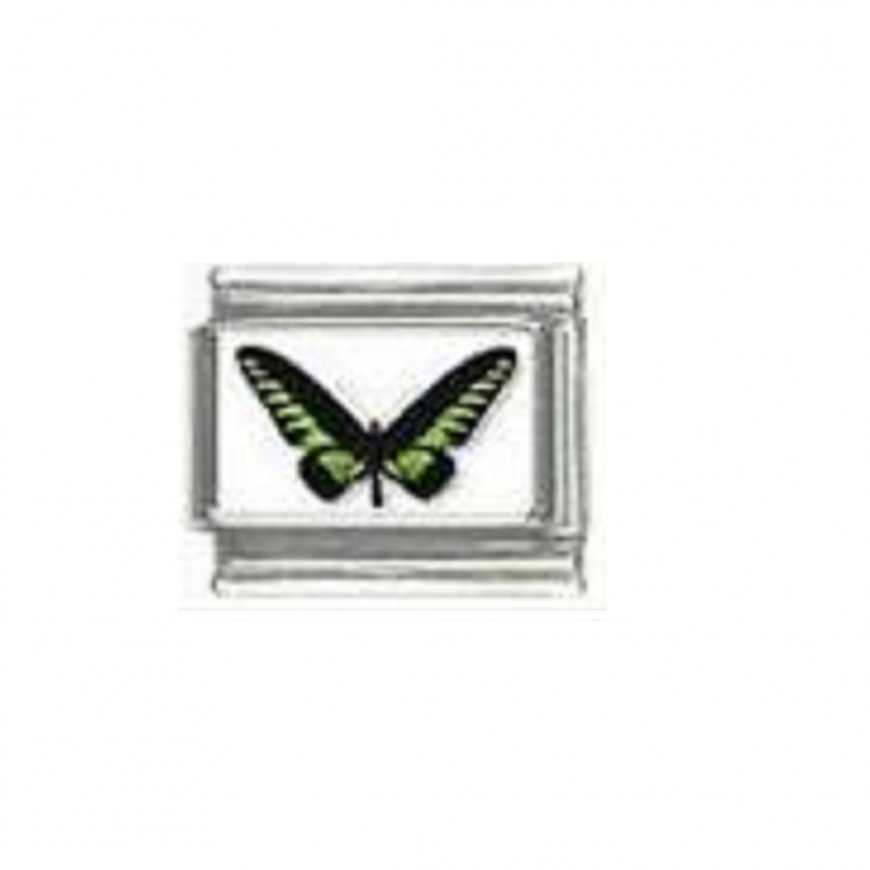 Butterfly photo a118 - 9mm Italian charm - Click Image to Close