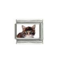 Cat - tabby cat (c) photo 9mm Italian charm