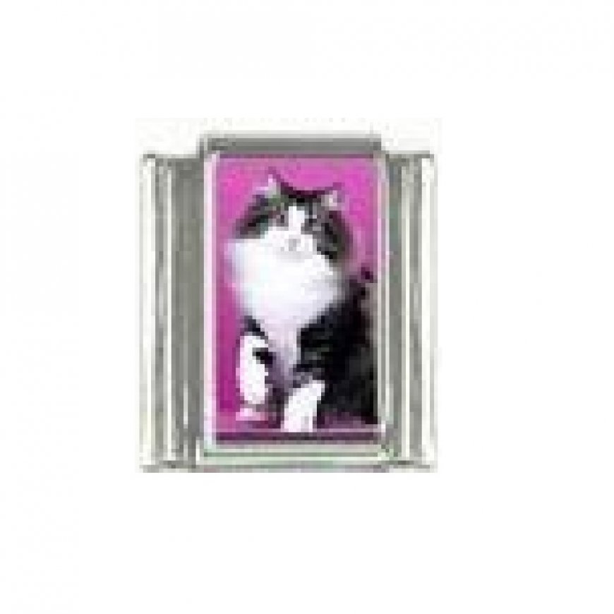 Cat - Fluffy cat on pink background 9mm photo Italian charm - Click Image to Close