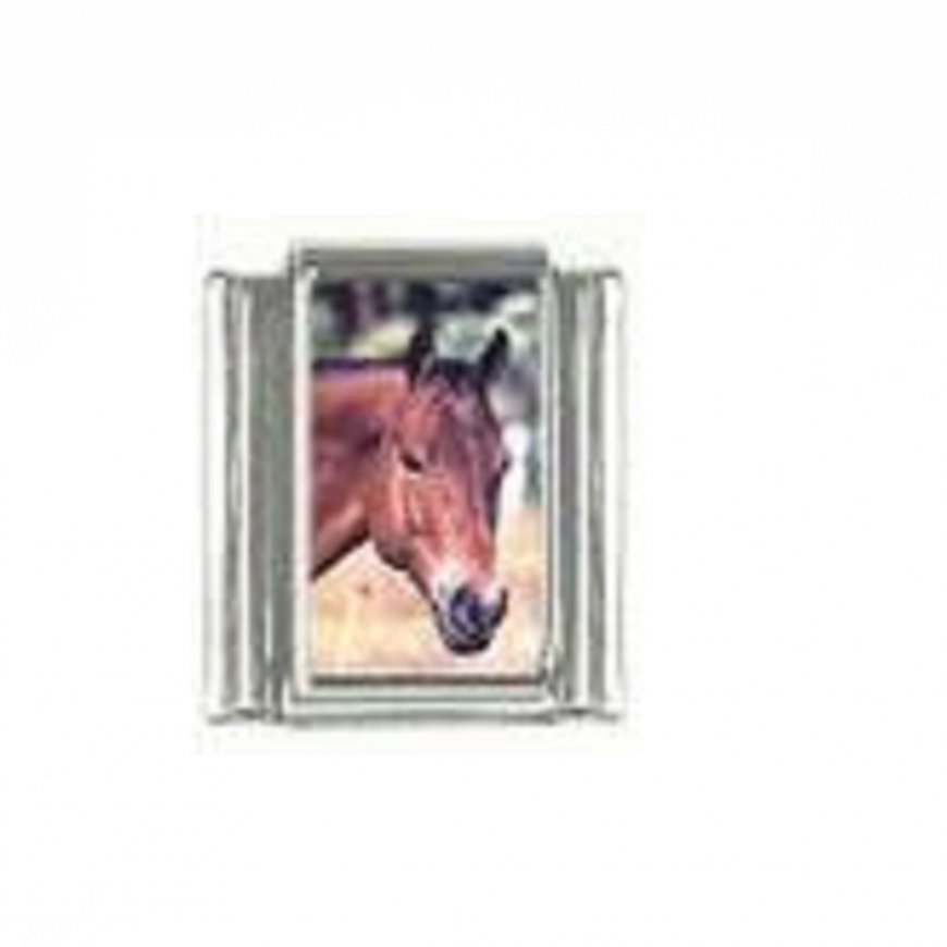 Horse (z) - photo 9mm Italian charm - Click Image to Close