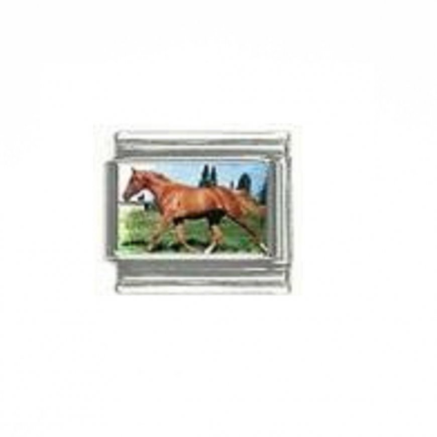 Horse (c) - photo 9mm Italian charm - Click Image to Close