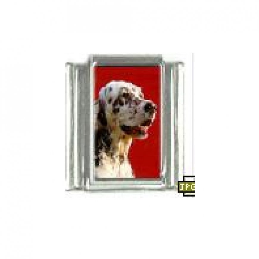 Dog charm - English Setter 4 - 9mm Italian charm - Click Image to Close