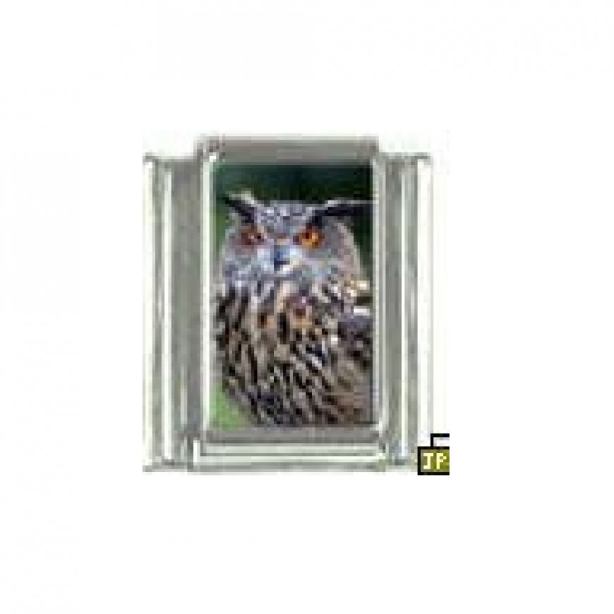 Tawny Owl - photo 9mm Italian Charm - Click Image to Close