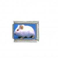 Guinea pig (p) photo charm - 9mm Italian charm
